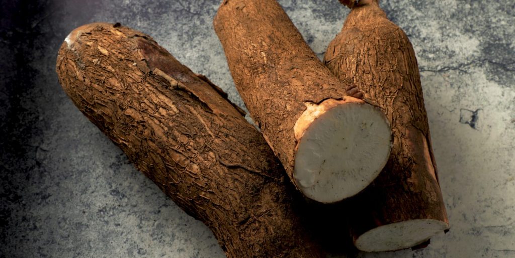 Historia del Budín de Yuca Cocida