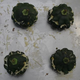 coloque las calabazas