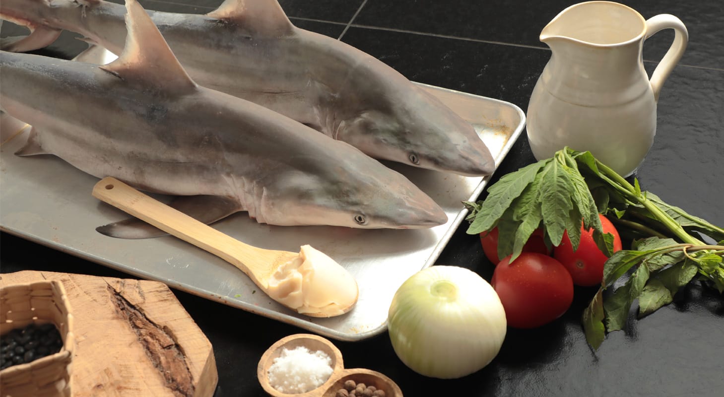 Historia del Cazón Frito Estilo Champotón