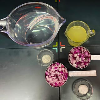 ingredientes cebolla morada