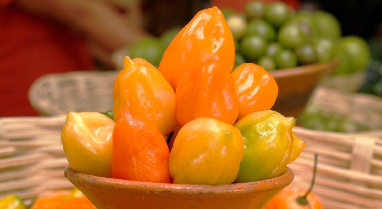 Historia del Chile K´ut Estilo Champotón