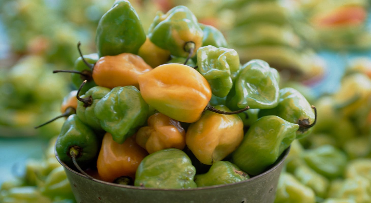 Chile K´ut Estilo Champotón