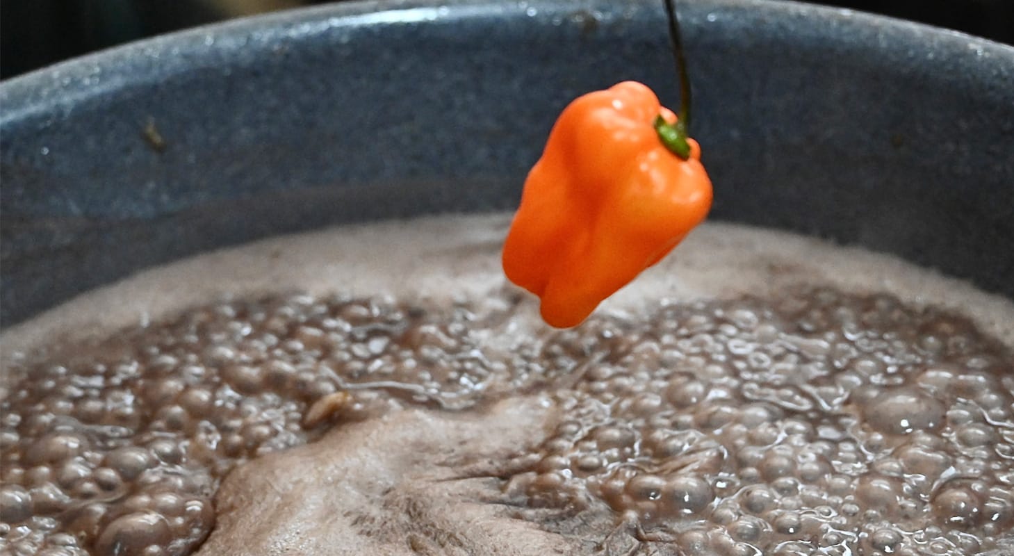 Historia de los Frijoles Colados Yucatecos