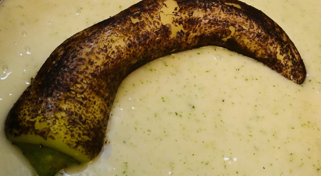 Historia de Kool Blanco Estilo Maxcanú