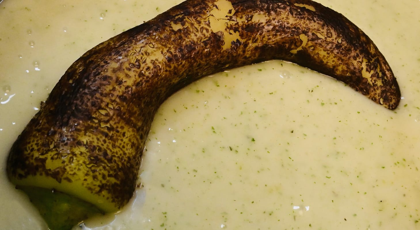 Historia de Kool Blanco Estilo Maxcanú