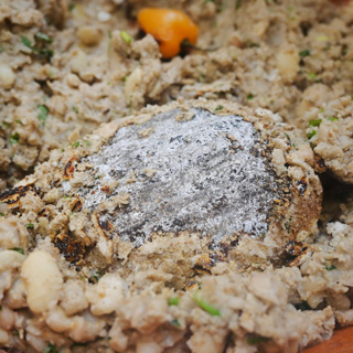 Toksel-estilo-San-Juan-de-Dios