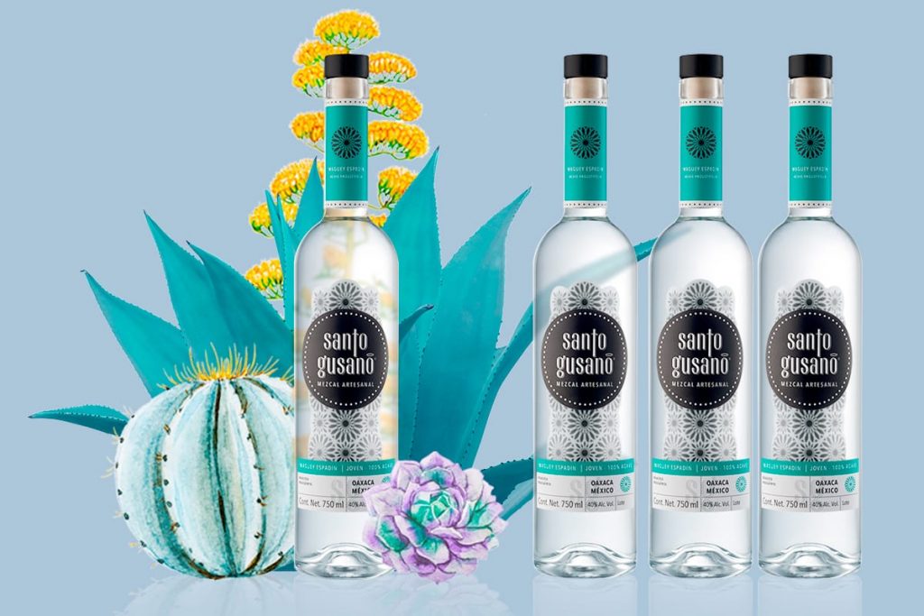 Apreciando el Mezcal