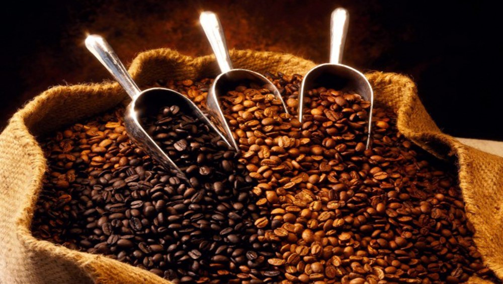 El café en México es uno de los principales productos de exportación agrícola.