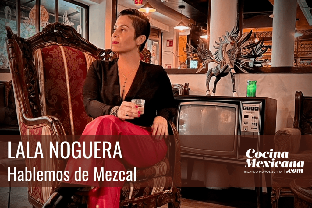 Hablemos de Mezcal Hablemos de Mezcal